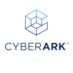Cyber Ark Partner